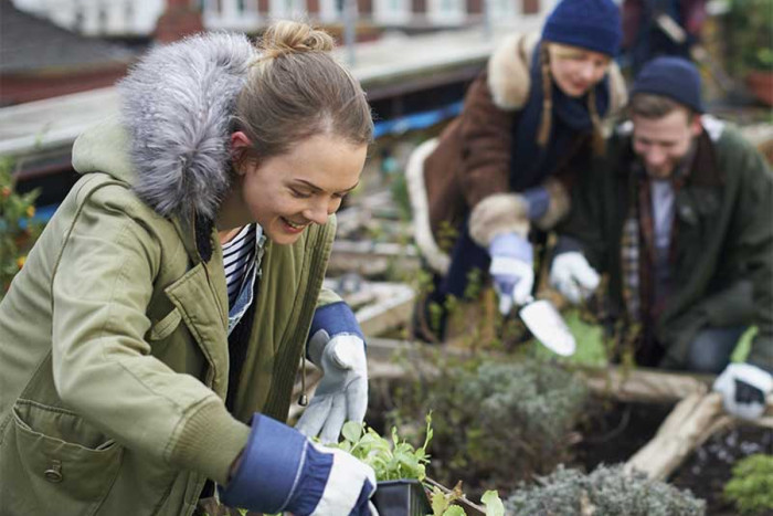 Colleagues volunteering together with outdoor gardening.