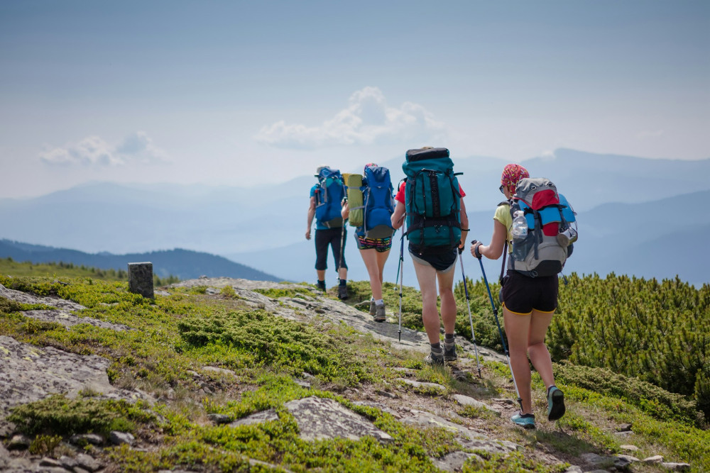 Group of 4 people hiking on a mountain.