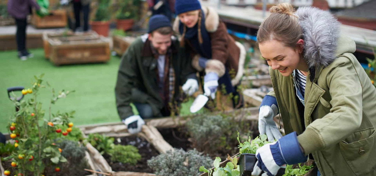 Colleagues getting involved in volunteer gardening work.